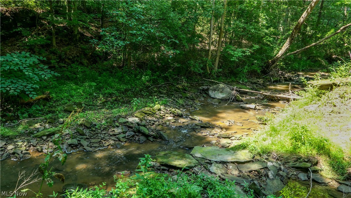 10748 Woodard Road Deerfield OH 44411