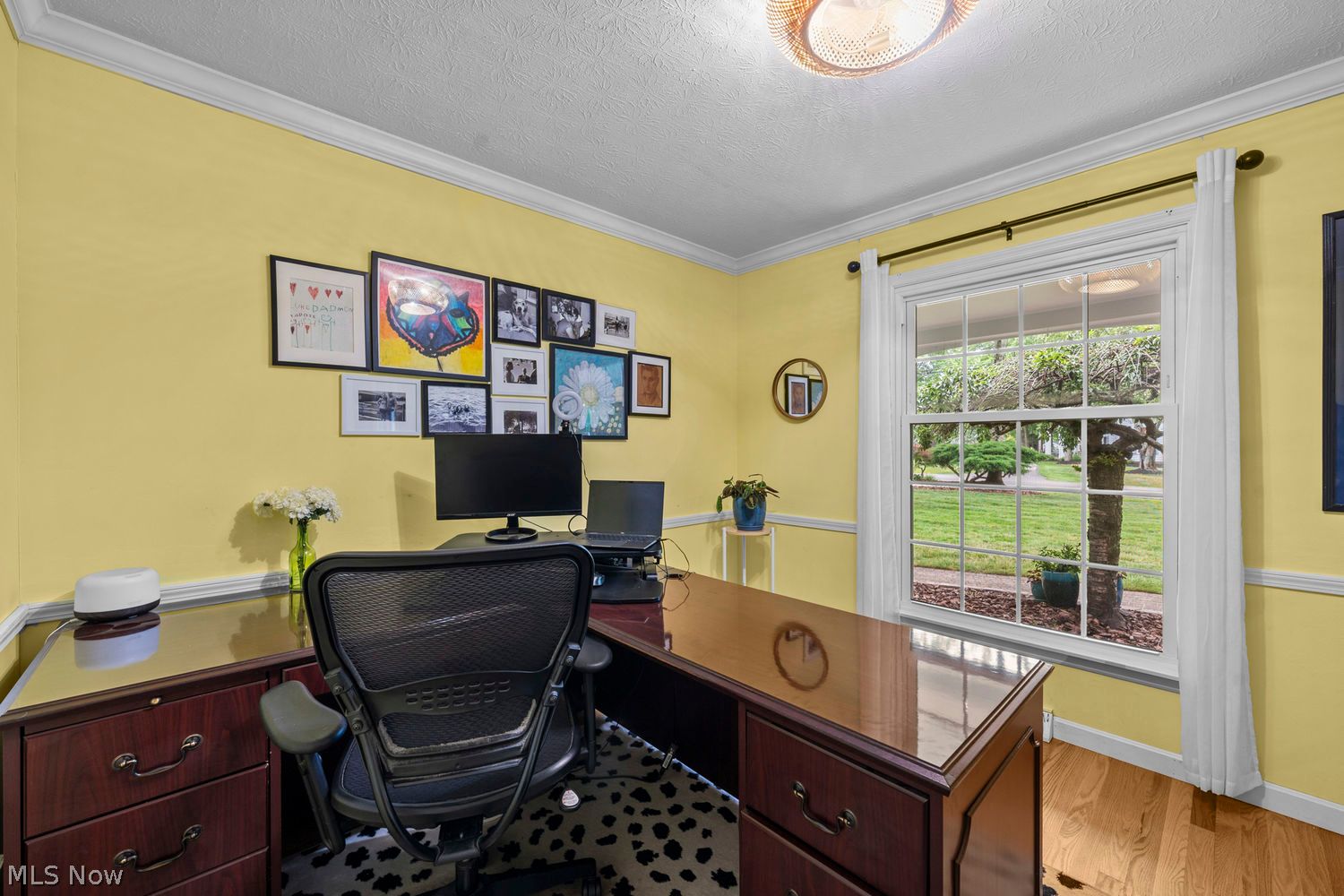 5229 Maple Springs Drive Chagrin Falls OH 44022