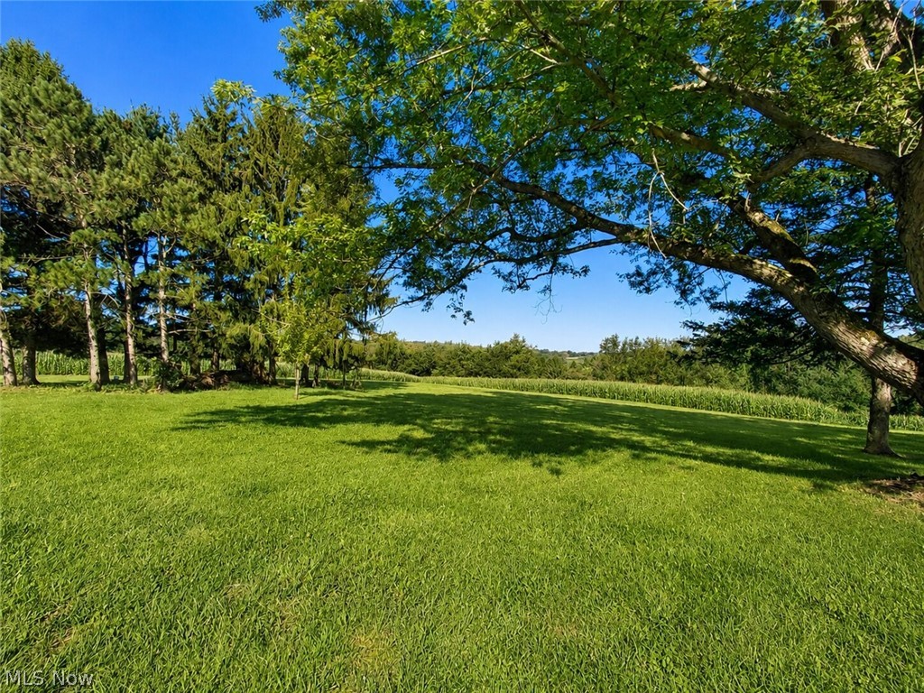 11489 Roller Coaster Road Lisbon OH 44432