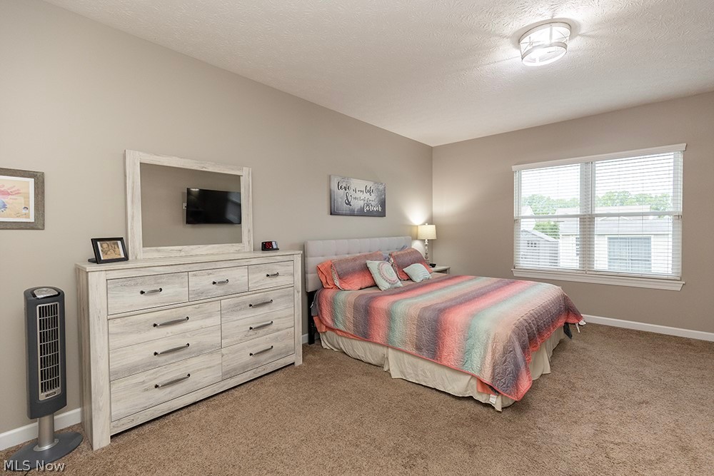13170 Kensington Drive Grafton OH 44044