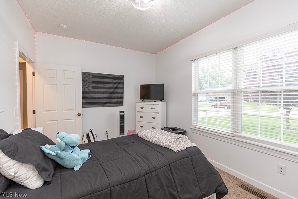 13170 Kensington Drive Grafton OH 44044