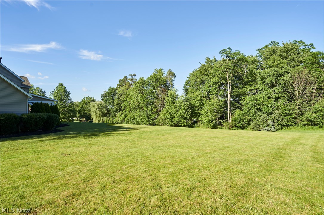 545 Sawgrass Drive Fairlawn OH 44333