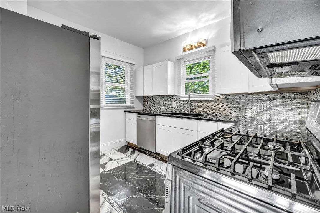 12015 Osceola Avenue Cleveland OH 44108