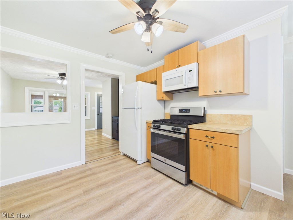 2542 Circle Drive Painesville OH 44077