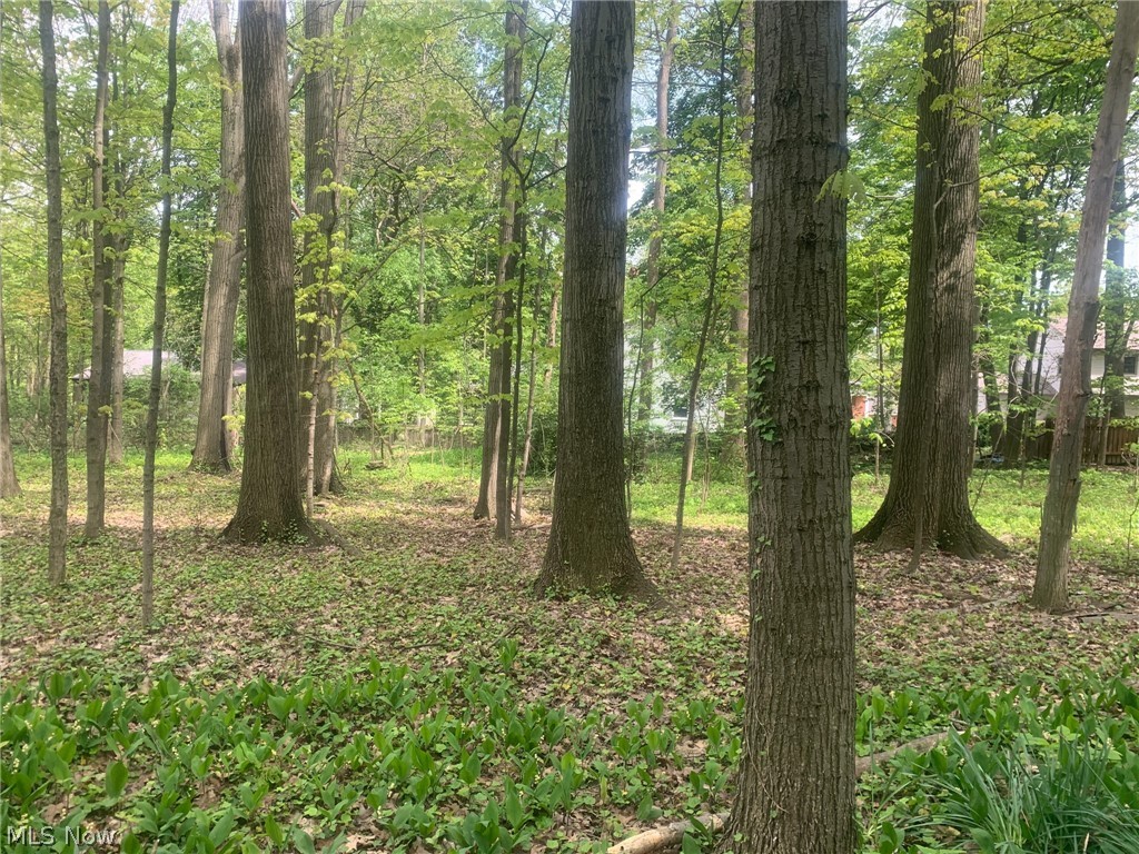 1340 N Lincoln Avenue Salem OH 44460