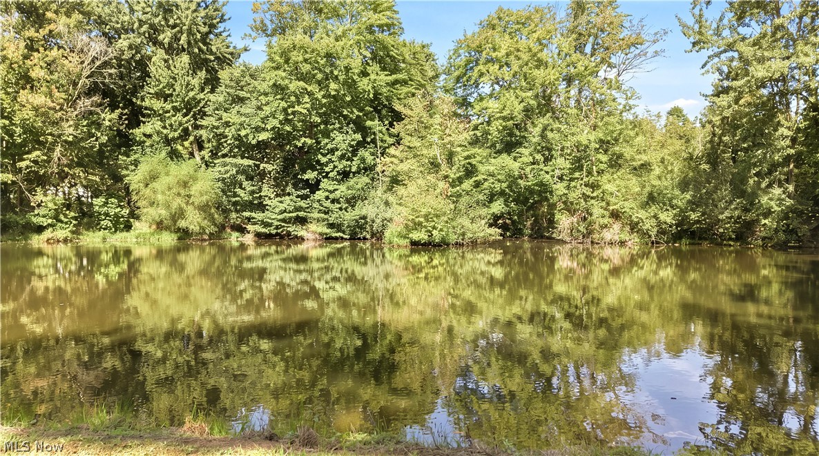 12425 Whitman Road Doylestown OH 44230