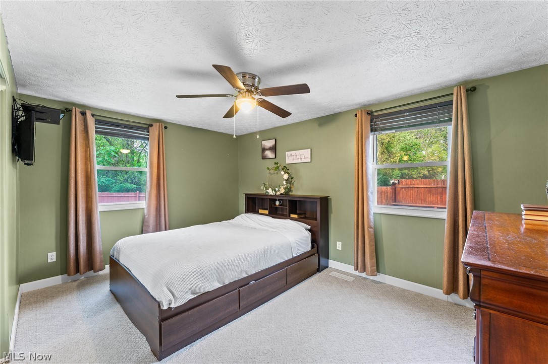 113 Bentwillow Niles OH 44446