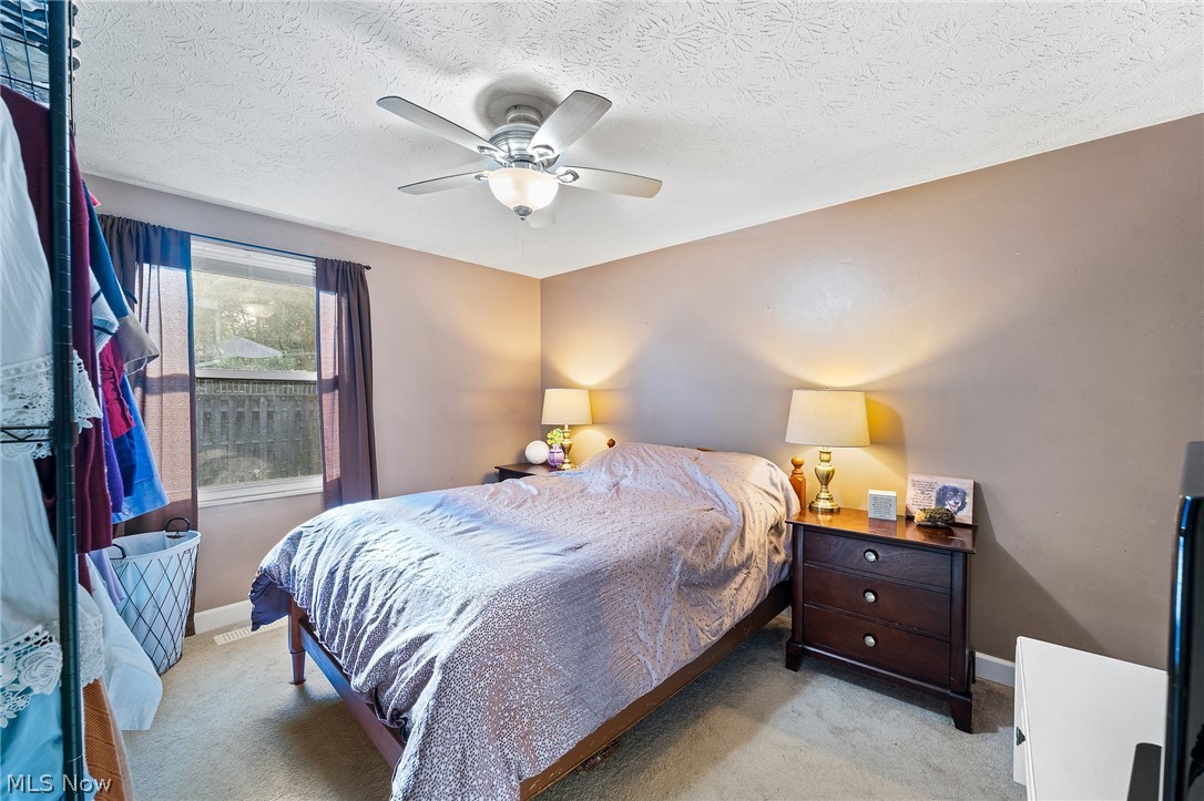 113 Bentwillow Niles OH 44446
