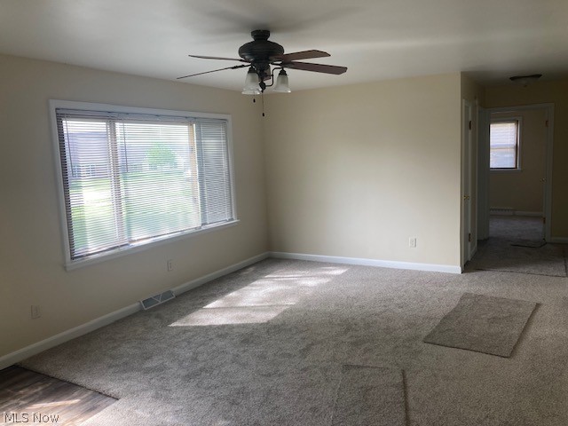 310 N Mecca Street Cortland OH 44410