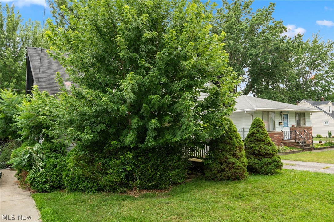 250 Plymouth Road Eastlake OH 44095