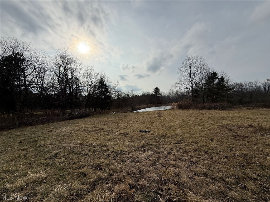 8290 Avon Lake Road Lodi OH 44254