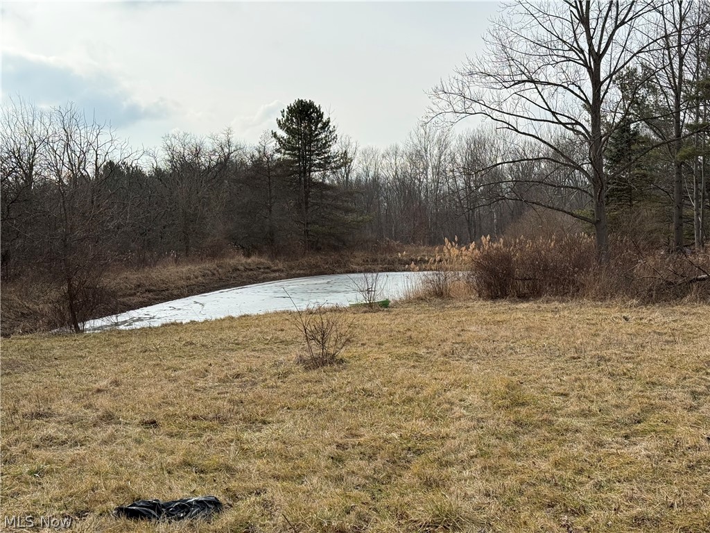 8290 Avon Lake Road Lodi OH 44254
