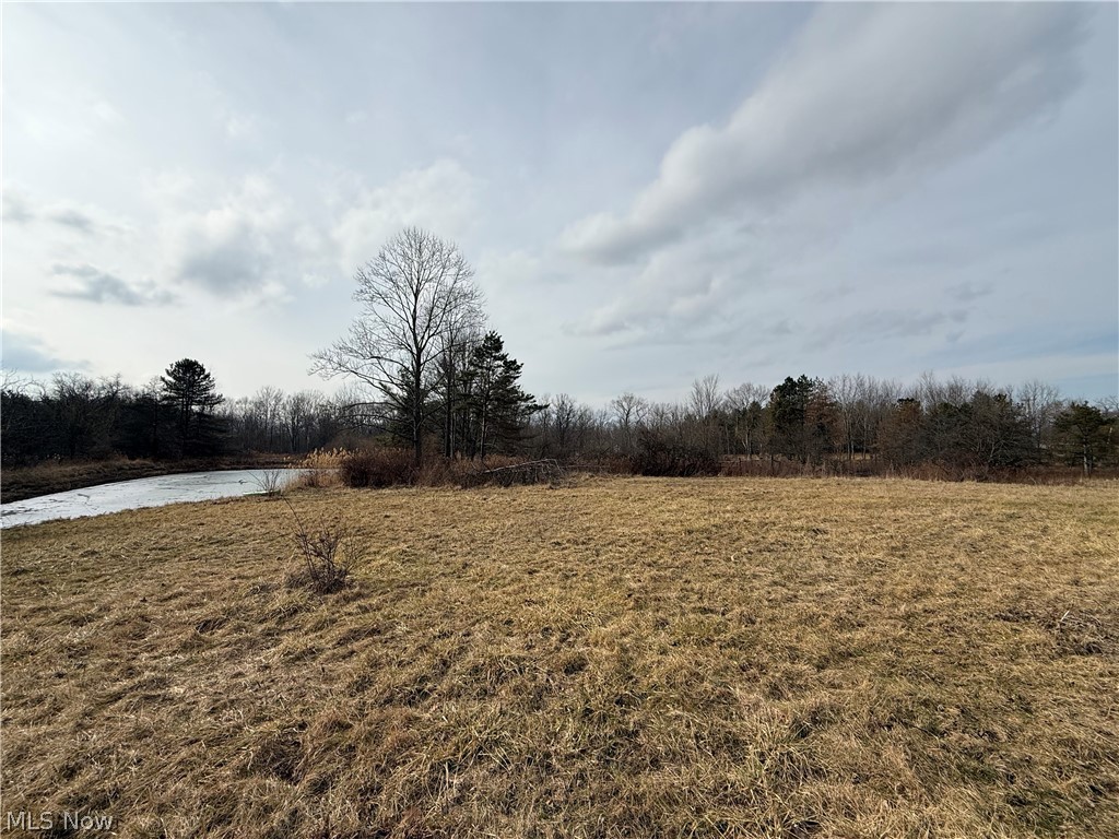 8290 Avon Lake Road Lodi OH 44254