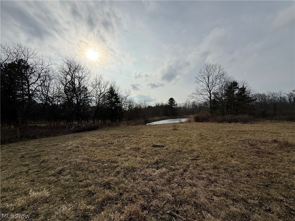 8290 Avon Lake Road Lodi OH 44254