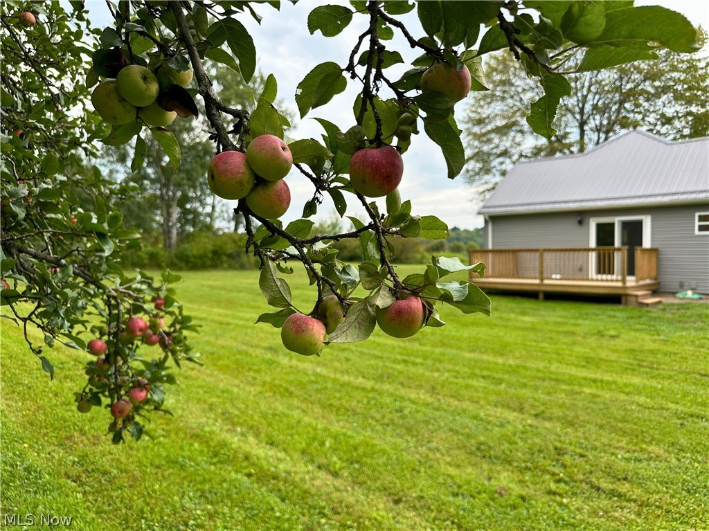 5355 Anderson Road Pierpont OH 44082