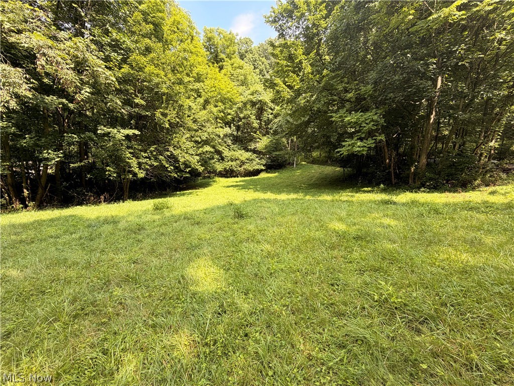 37301 Morrow Road Scio OH 43988