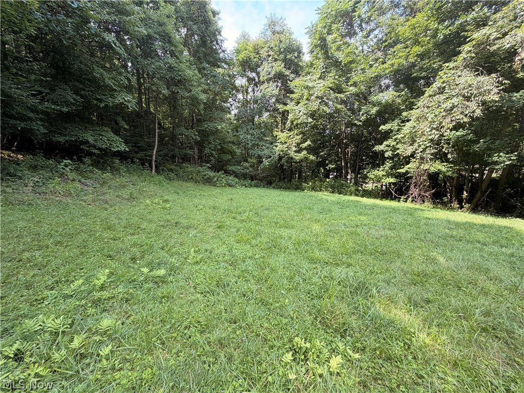 37301 Morrow Road Scio OH 43988