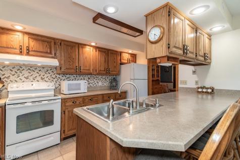 44 Fruitland Avenue Painesville OH 44077