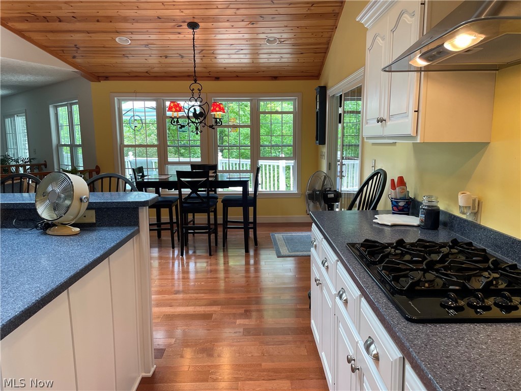 2594 W Buckhorn Drive Millersburg OH 44654