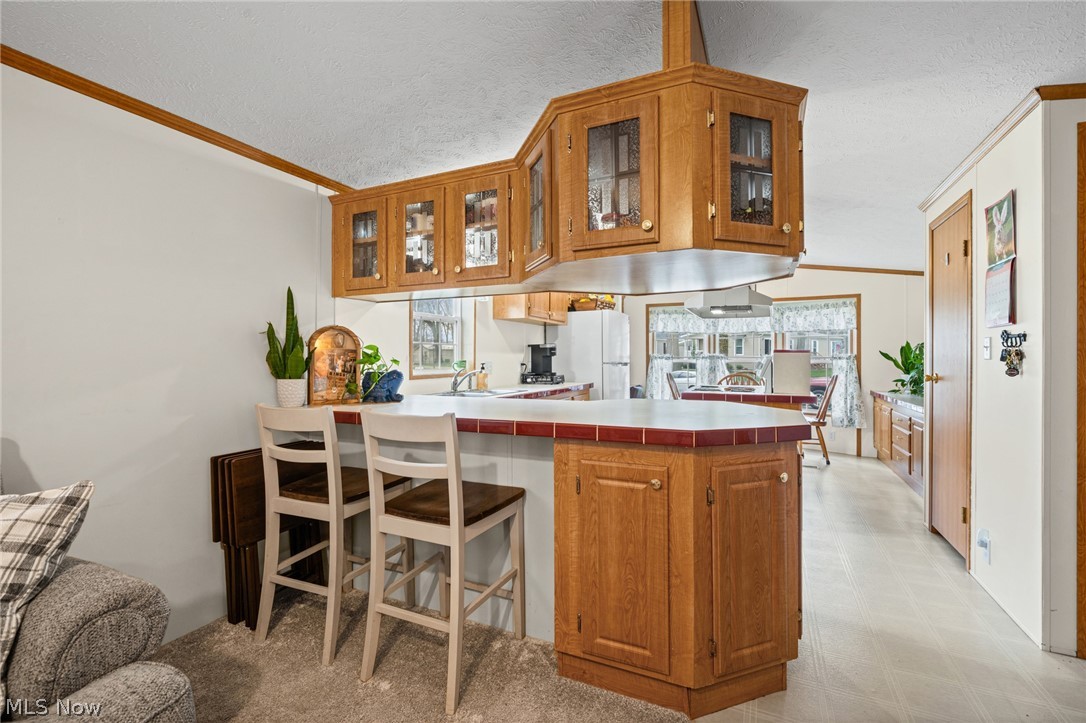 19 Brookins Drive Olmsted Falls OH 44138