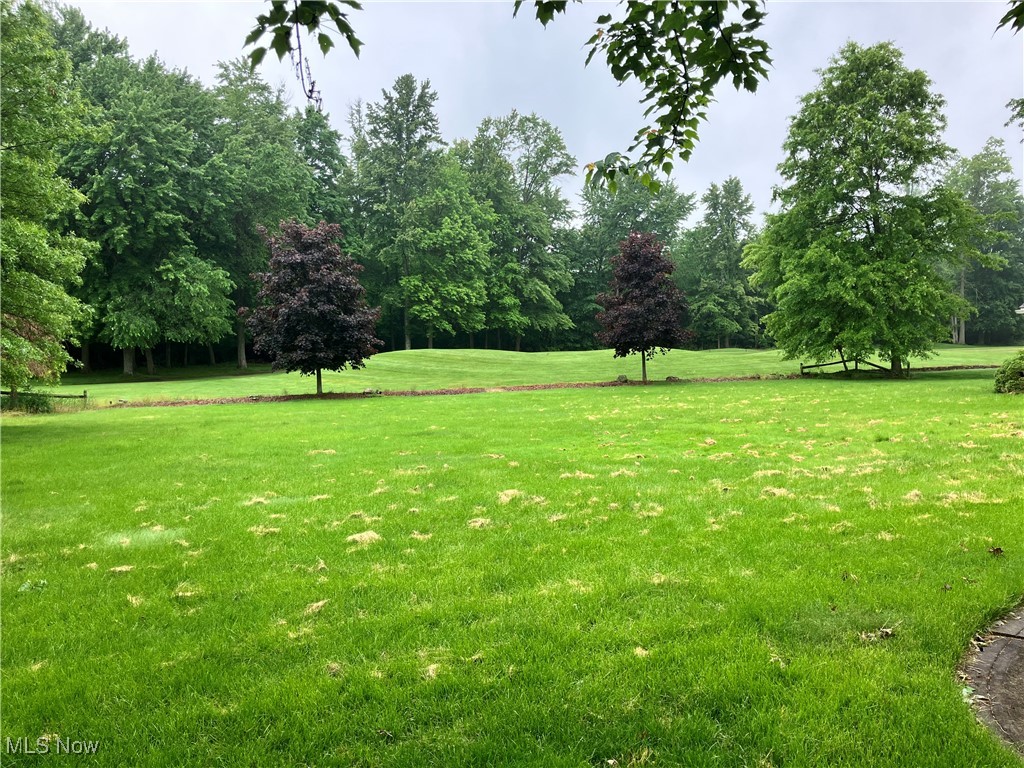 1254 Maxfli Drive Akron OH 44312