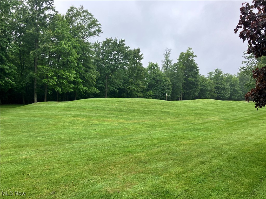 1254 Maxfli Drive Akron OH 44312