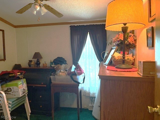 942 Township Road 199 Bloomingdale OH 43910