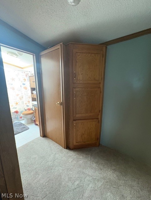942 Township Road 199 Bloomingdale OH 43910