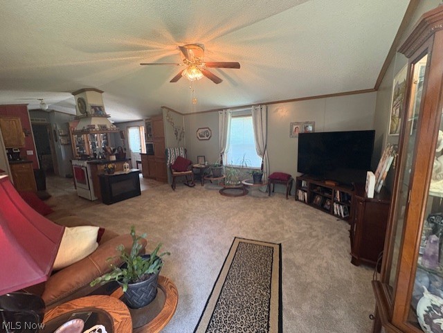942 Township Road 199 Bloomingdale OH 43910