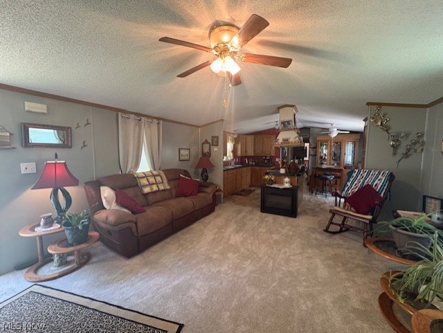 942 Township Road 199 Bloomingdale OH 43910