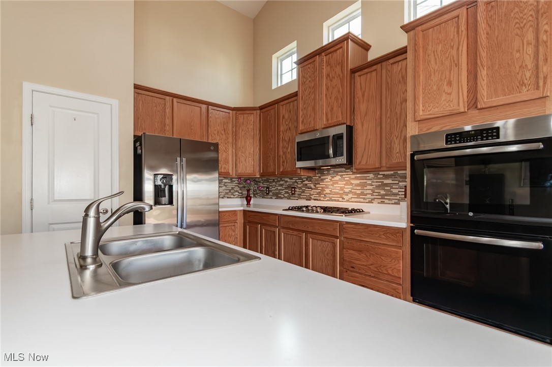 3331 Shale Drive Twinsburg OH 44087