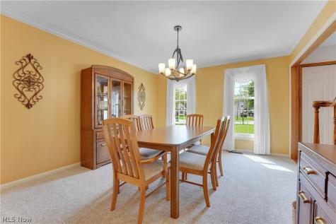 10172 Bissell Drive Twinsburg OH 44087