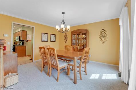 10172 Bissell Drive Twinsburg OH 44087