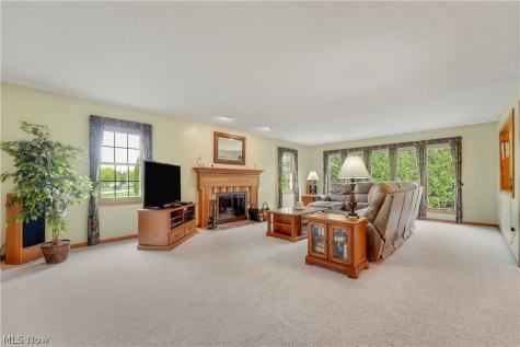 10172 Bissell Drive Twinsburg OH 44087