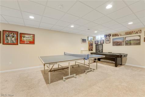10172 Bissell Drive Twinsburg OH 44087
