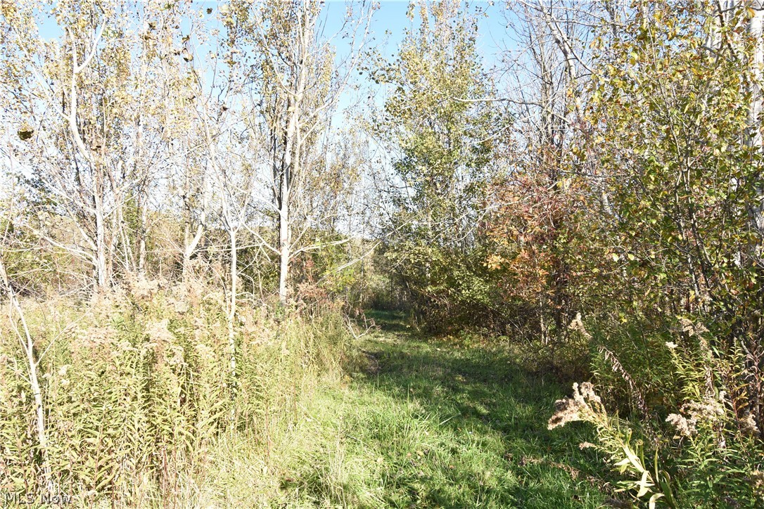 1438 S County Line Road Geneva OH 44041