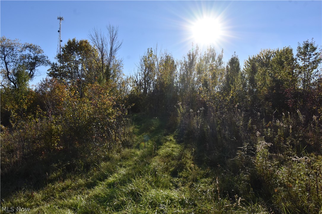 1438 S County Line Road Geneva OH 44041