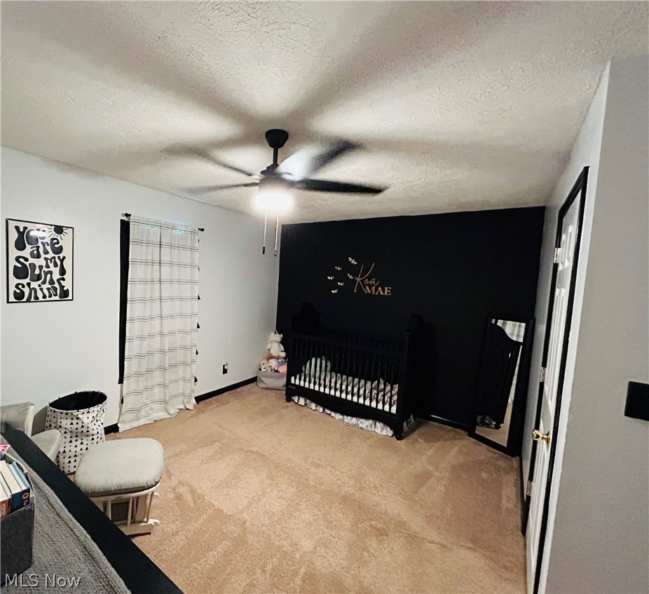 4300 Falls Road SW Sherrodsville OH 44675