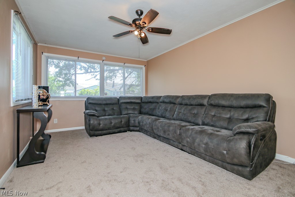 26200 Parklane Drive Euclid OH 44132