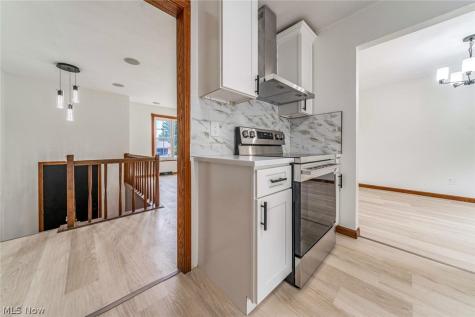 9917 Vienna Drive Parma OH 44130