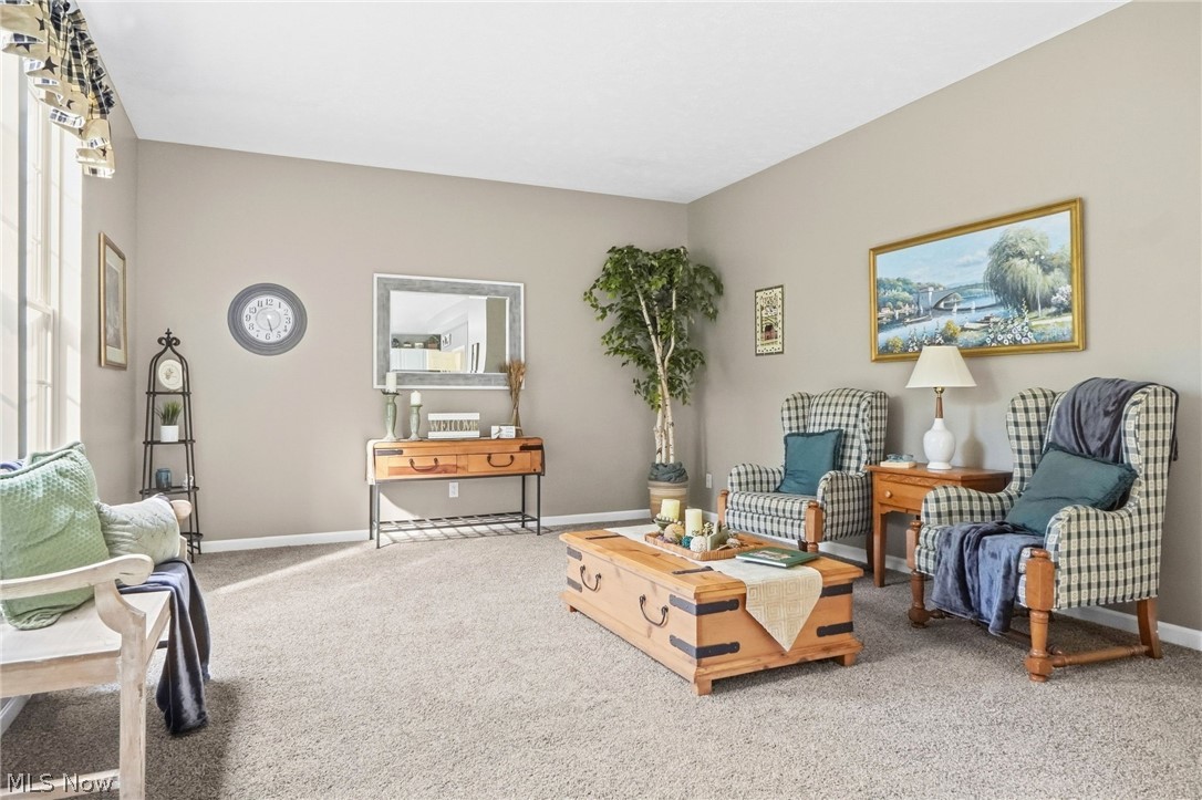 101 Colonial Drive Painesville OH 44077