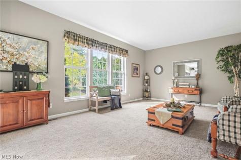 101 Colonial Drive Painesville OH 44077
