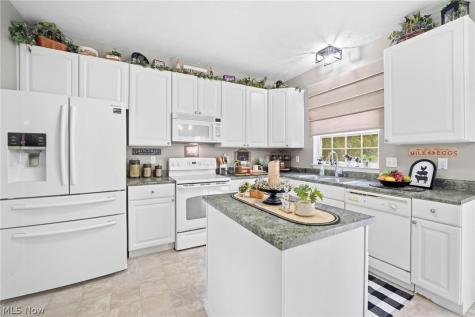 101 Colonial Drive Painesville OH 44077