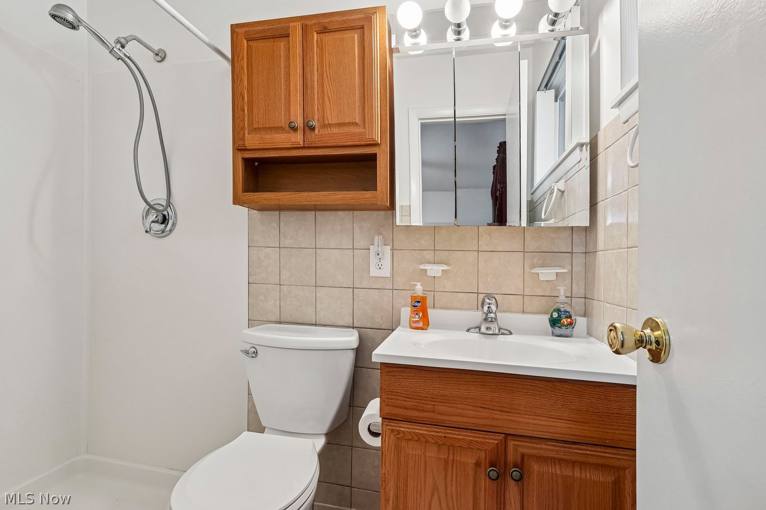 6199 Carolyn Drive Mentor OH 44060