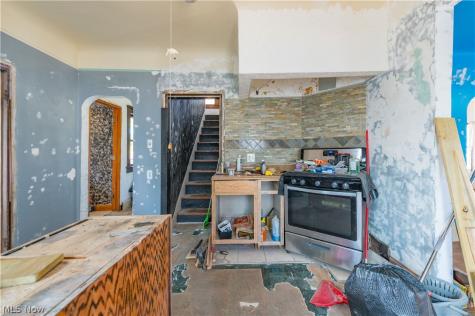 4207 Bucyrus Avenue Cleveland OH 44109