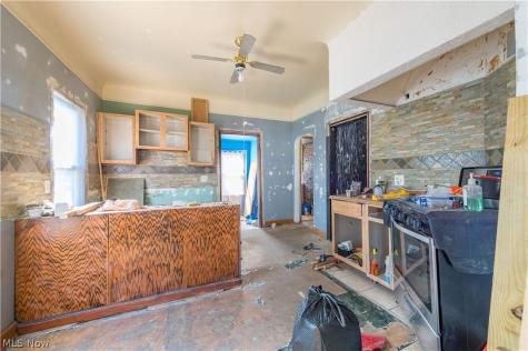 4207 Bucyrus Avenue Cleveland OH 44109