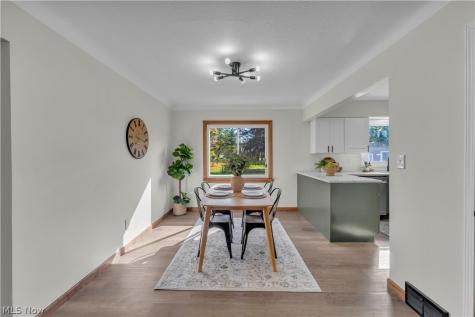 10711 Meadowbrook Drive Parma Heights OH 44130