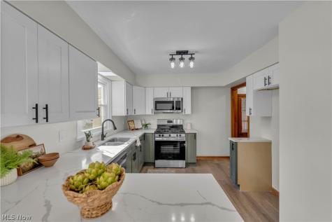 10711 Meadowbrook Drive Parma Heights OH 44130
