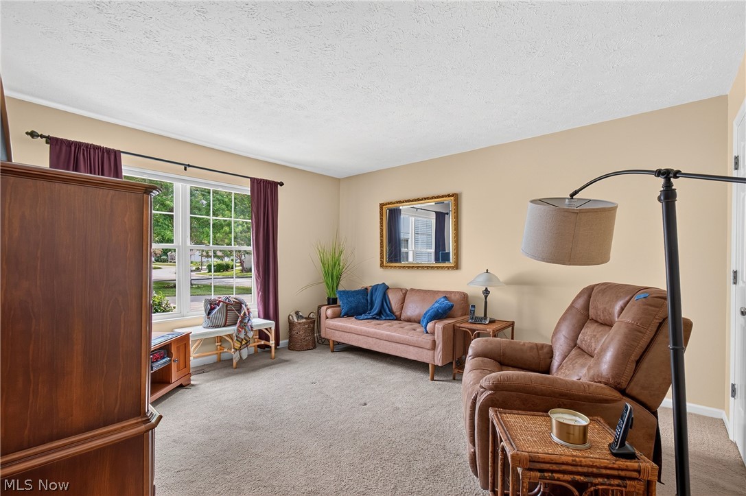 2793 Tinkers Lane Twinsburg OH 44087