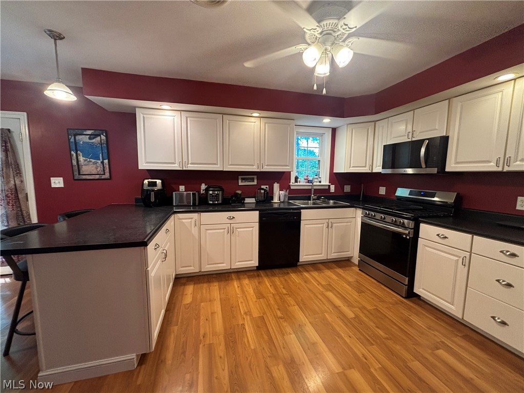 189 Ashtabula Point Roaming Shores OH 44084
